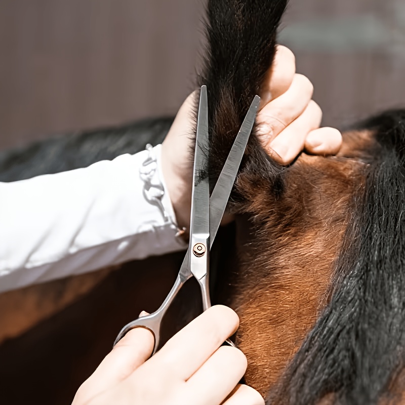 Kit d'outils de toilettage pou - Grooming Kit Horse avis et prix
