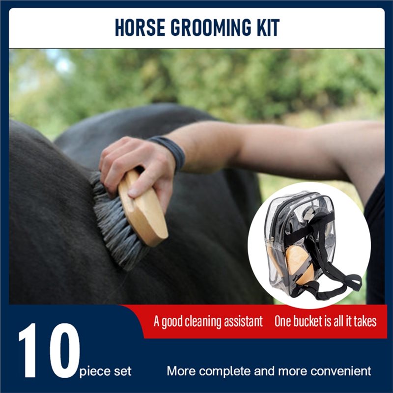 【SPECIAL】Kit de toilettage équ - Grooming Kit Horse avis et prix