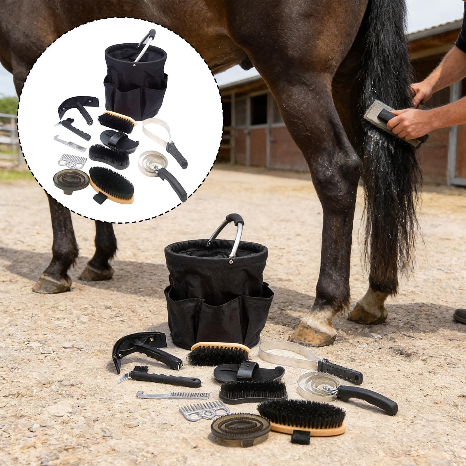 Kit de toilettage complet pour - Grooming Kit Horse avis et prix