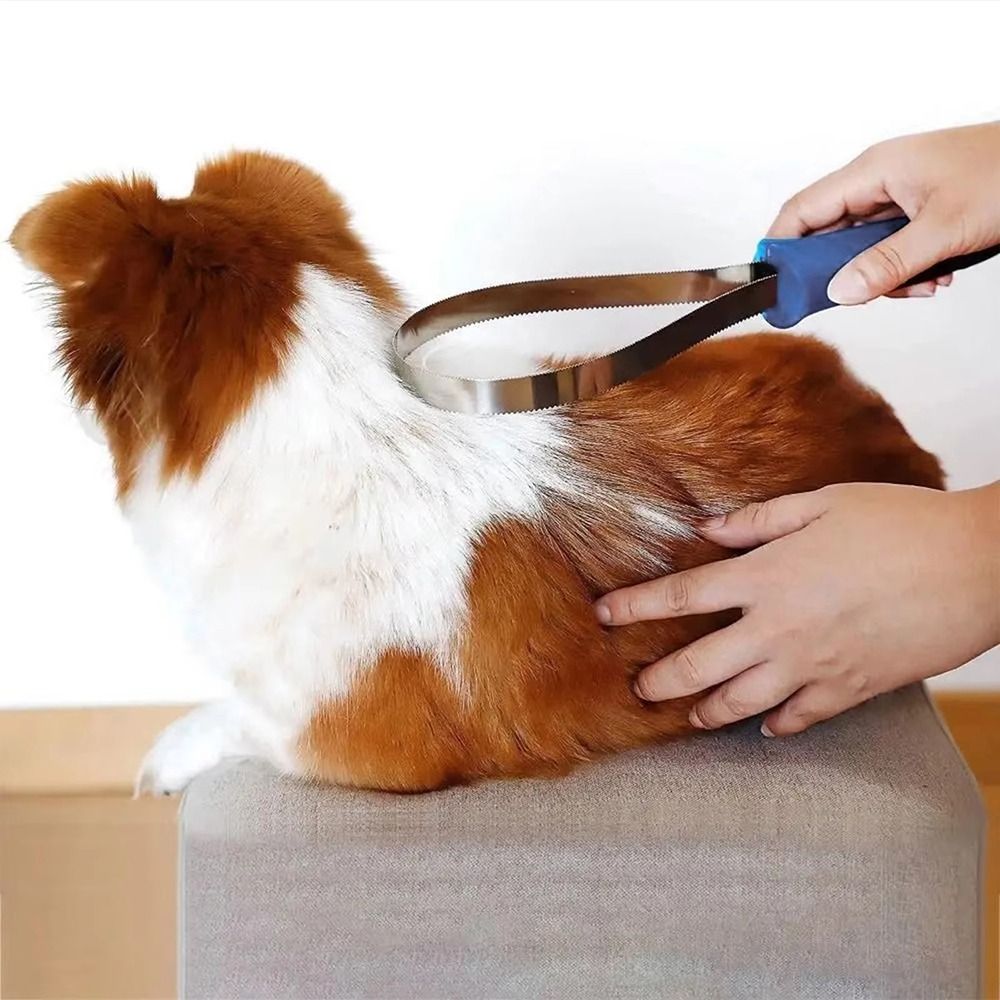 1 pièce Nouvelle Brosse de toi - Grooming Kit Horse avis et prix
